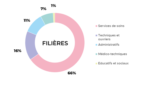 Répartition des professionnels non médicaux par filières