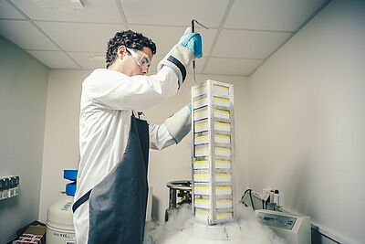 Agrandir l'image, fenêtre modale