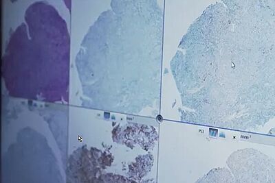 Agrandir l'image, fenêtre modale