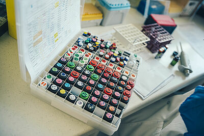 Agrandir l'image, fenêtre modale