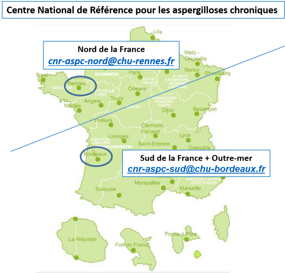 Agrandir l'image (fenêtre modale)