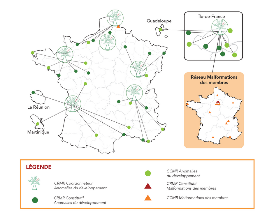 schéma réseau AnDDI-Rares