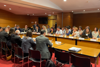 Agrandir l'image, fenêtre modale