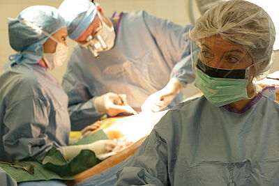 Agrandir l'image, fenêtre modale