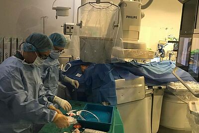 Agrandir l'image, fenêtre modale