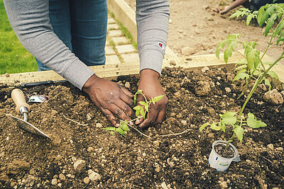 Agrandir l'image, fenêtre modale