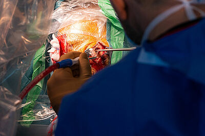 Agrandir l'image, fenêtre modale