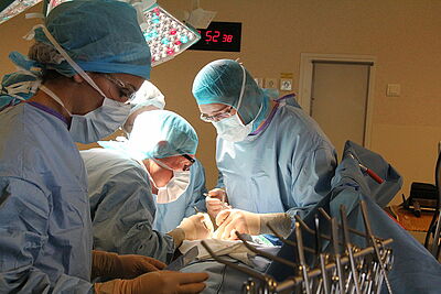 Agrandir l'image, fenêtre modale