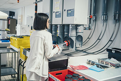 Agrandir l'image, fenêtre modale