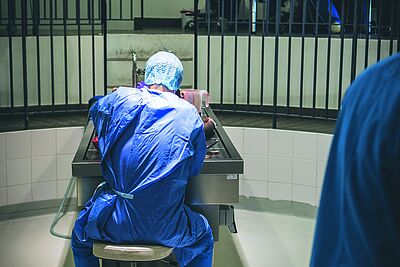 Agrandir l'image, fenêtre modale