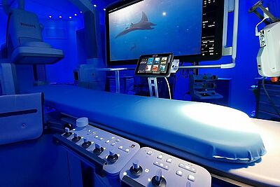 Agrandir l'image, fenêtre modale