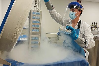 photo centre ressources biologiques (CRB Santé) - Déstockage d'échantillons en azote liquide