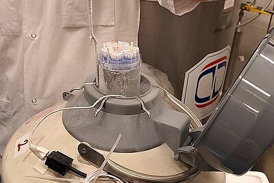 cuve d'azote avec paillettes