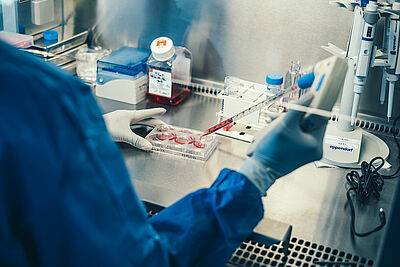 Agrandir l'image, fenêtre modale