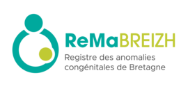 logo ReMaBREIZH - Agrandir l'image (fenêtre modale)
