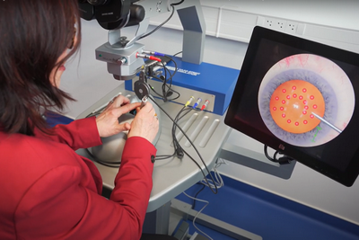 Agrandir l'image, fenêtre modale