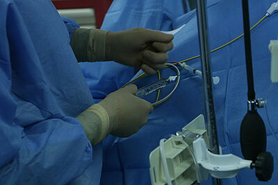 Agrandir l'image, fenêtre modale