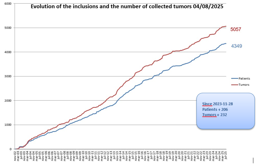 Agrandir l'image (fenêtre modale)